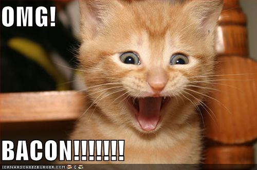 :bacon:
